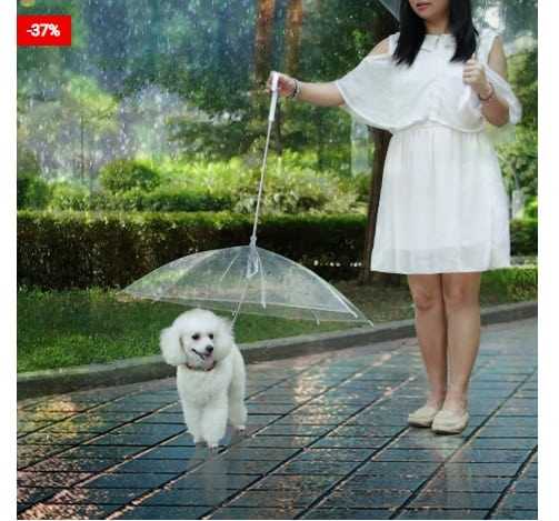Walk Your Dog Even In The Rain With A Dog Leash Umbrella