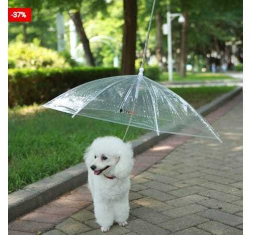 Walk Your Dog Even In The Rain With A Dog Leash Umbrella