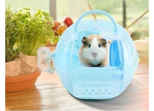 Take Your Loveable Hamster Anywhere With A Portable Hamster House