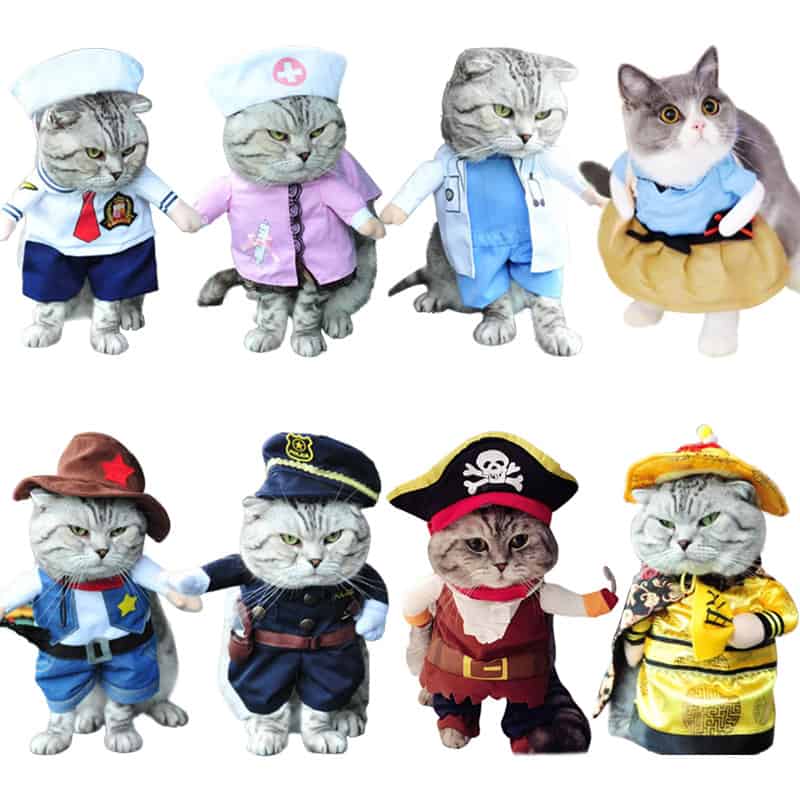 Assorted Funny Cat Costumes