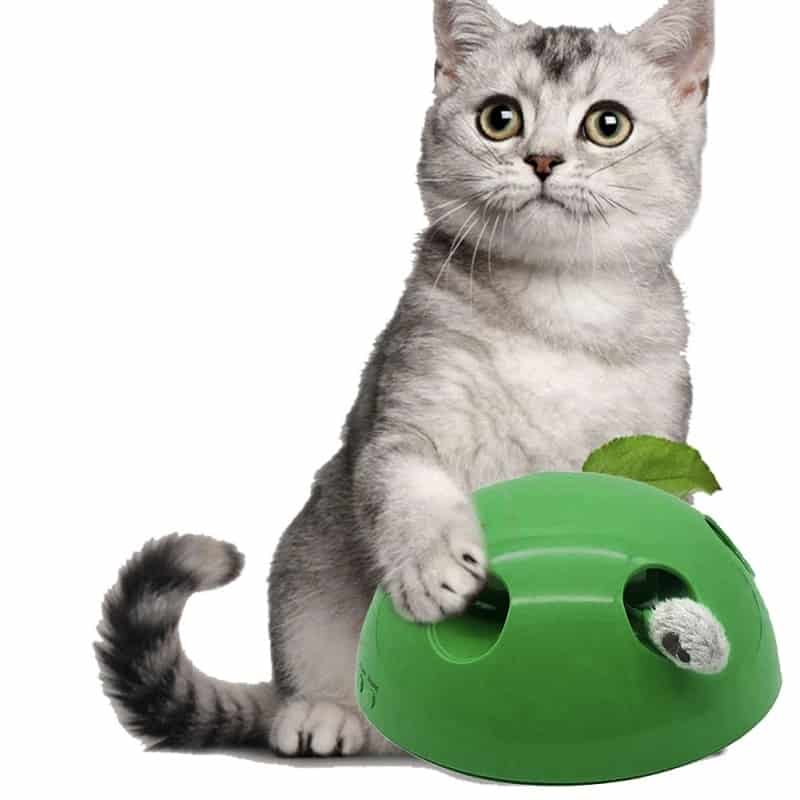 Pop N Play Funny Cat Interactive Toy And Scratching Device