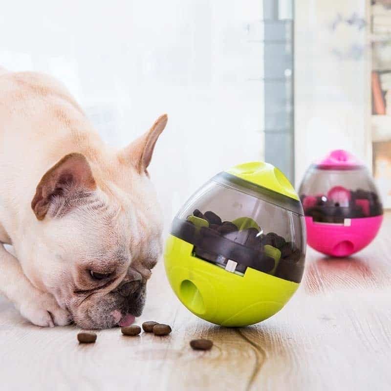 Interactive Pet Food Treat Ball Bowl