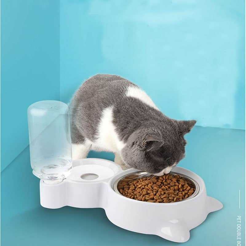 2-In-1 Automatic Drinking Water Bottle Pet Bowl
