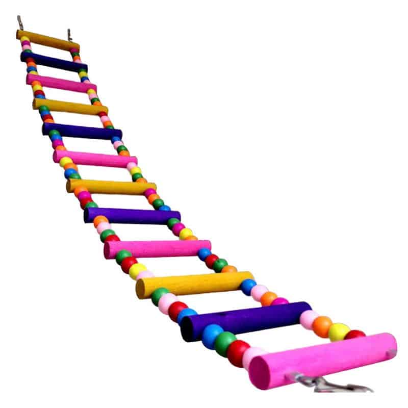 Colorful Wooden Climbing Swinging Parrot Ladder
