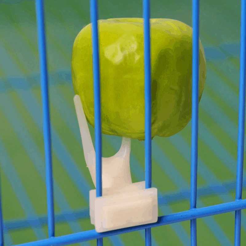 2pcs Bird Parrot Cage Plastic Fruit Fork Accessories