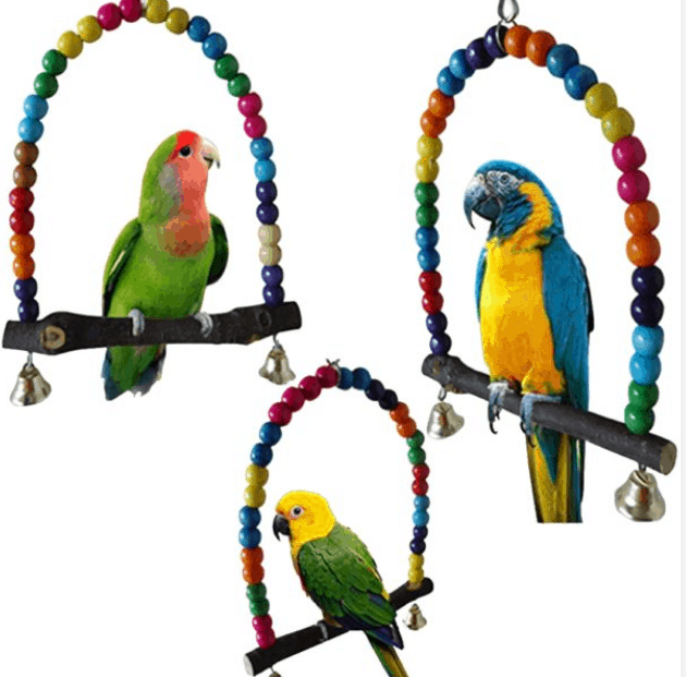 Enjoyable Ride For Parrots With Wood Stand Holder 