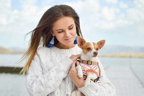 Luxury Dog Accessories: Popular Dog Harnesses