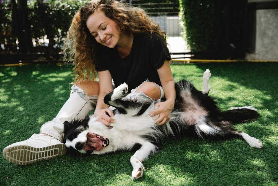 A person holding a dog