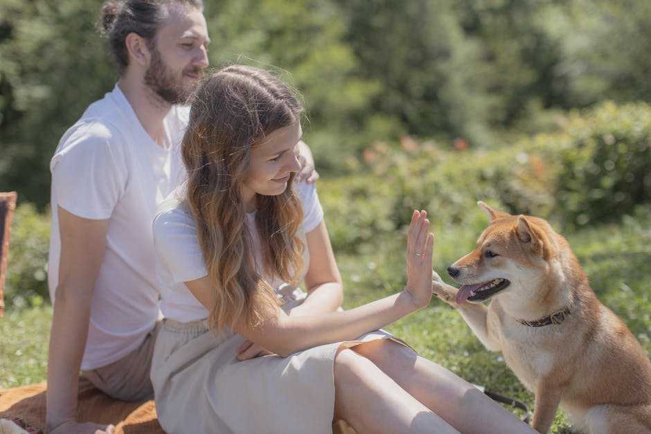 A woman and a dog sitting in the grass